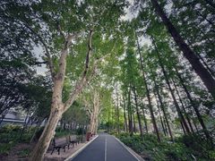 -和平公园