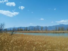 -野鸭湖国家湿地公园