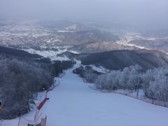 -中旅松花湖滑雪场