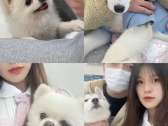 -怪兽屋·羊驼·猫咖·狗咖(俊华广场店)