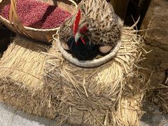 -蛮佬拾·乡里土菜馆(河西王府井店)