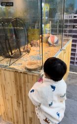 -神奇动物撸宠馆·羊驼·小浣熊·异宠(豫园店)