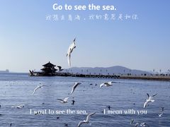 -栈桥景区