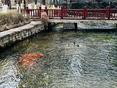 -水磨沟公园
