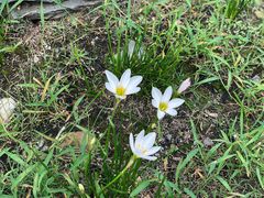 -白塘生态植物园