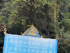 -野象谷景区
