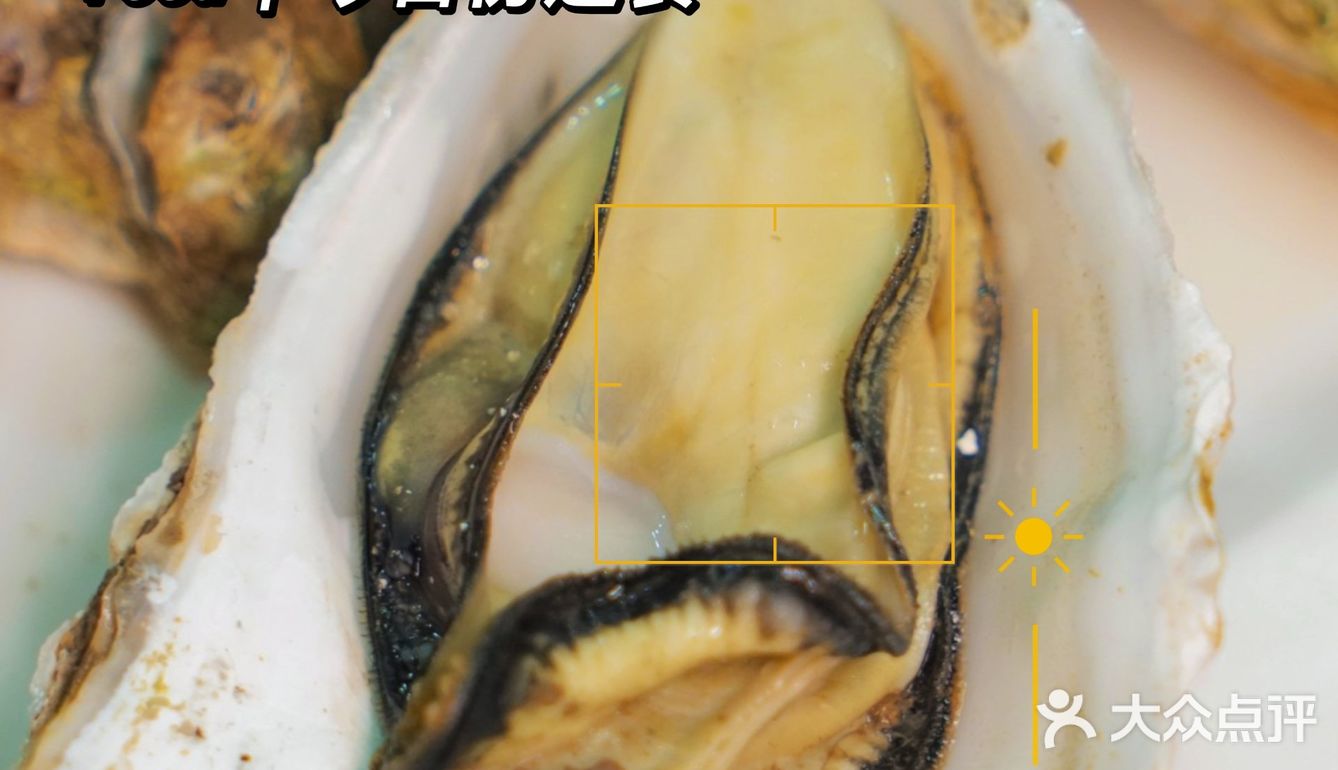 石油路时代天街18号1-24（9栋背街）