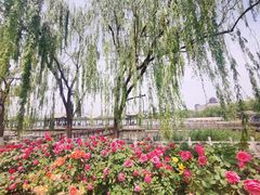 -莲花池公园