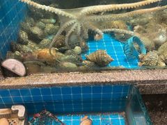 -码头鲜精致威海菜(欧乐坊店)