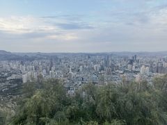 -兰山公园
