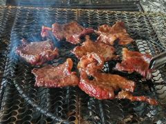 -蘑统田下·野生菌火锅