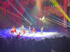 -珠海横琴长隆《卡卡虎奇遇记》