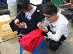 -喜杨洋草莓采摘园