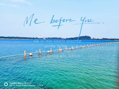 -露天矿生态公园