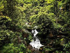 -碧峰峡风景区