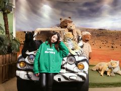 -济州岛泰迪熊博物馆