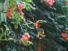 -聚缘堂·海鲜私房菜(松岭路店)