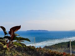 -海棠湾仁恒皇冠度假酒店-270°海景餐厅