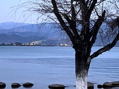 -西昌邛海湾柏樾酒店(原邛海湾柏栎度假酒店)