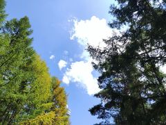 -帽儿山国家森林公园