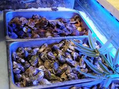 -万象·复兴号鲜肉烤肉海鲜自助(升级店)