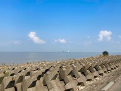 -上海滨江森林公园