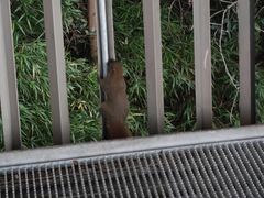 -福道
