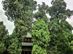 -报恩寺(平武县)