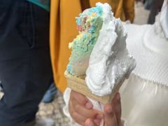 -柠檬车露(卖草地店)