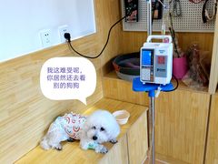 -初心动物医院