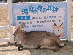 -清远熹乐谷温泉度假酒店