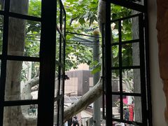 -Apollo·西班牙小酒馆(安福路店)