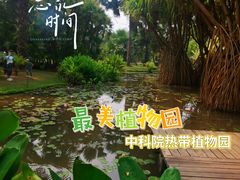 -中国科学院西双版纳热带植物园