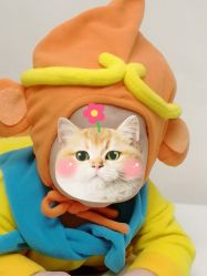 -DeerFriend童趣主题上门拍·到家·外拍摄影机构 (国贸店)