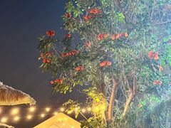 -DGE季风钓虾营地·团建·聚会