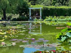 -国家植物园南园