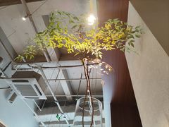 -东园小馆·早茶·淮扬小炒(印象汇店)