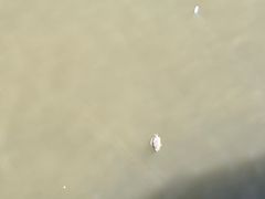 -北仑森林植物园