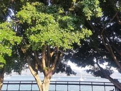 -抚仙湖禄充风景区