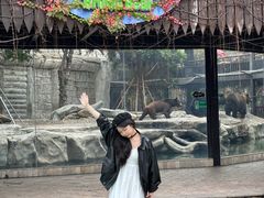-灵玲国际马戏城
