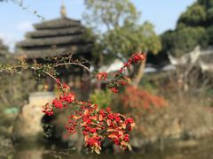 -韩湘水博园