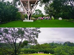 -福建鲤鱼洲酒店