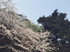 -南山植物园