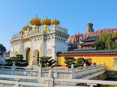 -上海东林寺(金山区)