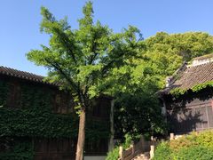 -惠山古镇·寄畅园