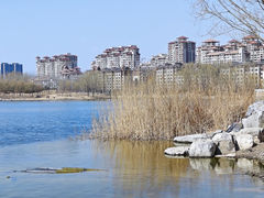 -马家湾湿地公园