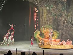 -广州长隆国际大马戏