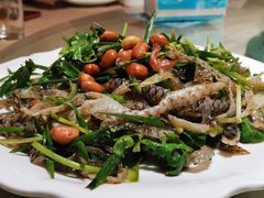 怀旧捞顺德爽鱼皮-张记旺角食街(动物园店)