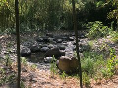 -新虹桥中心花园