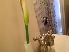 -成桂西餐厅·42年的味道(五大道疙瘩楼店)